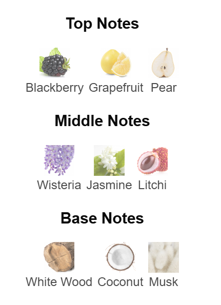 Oud Elixir de Coral Perfumes (Unisex) 100ML EDP