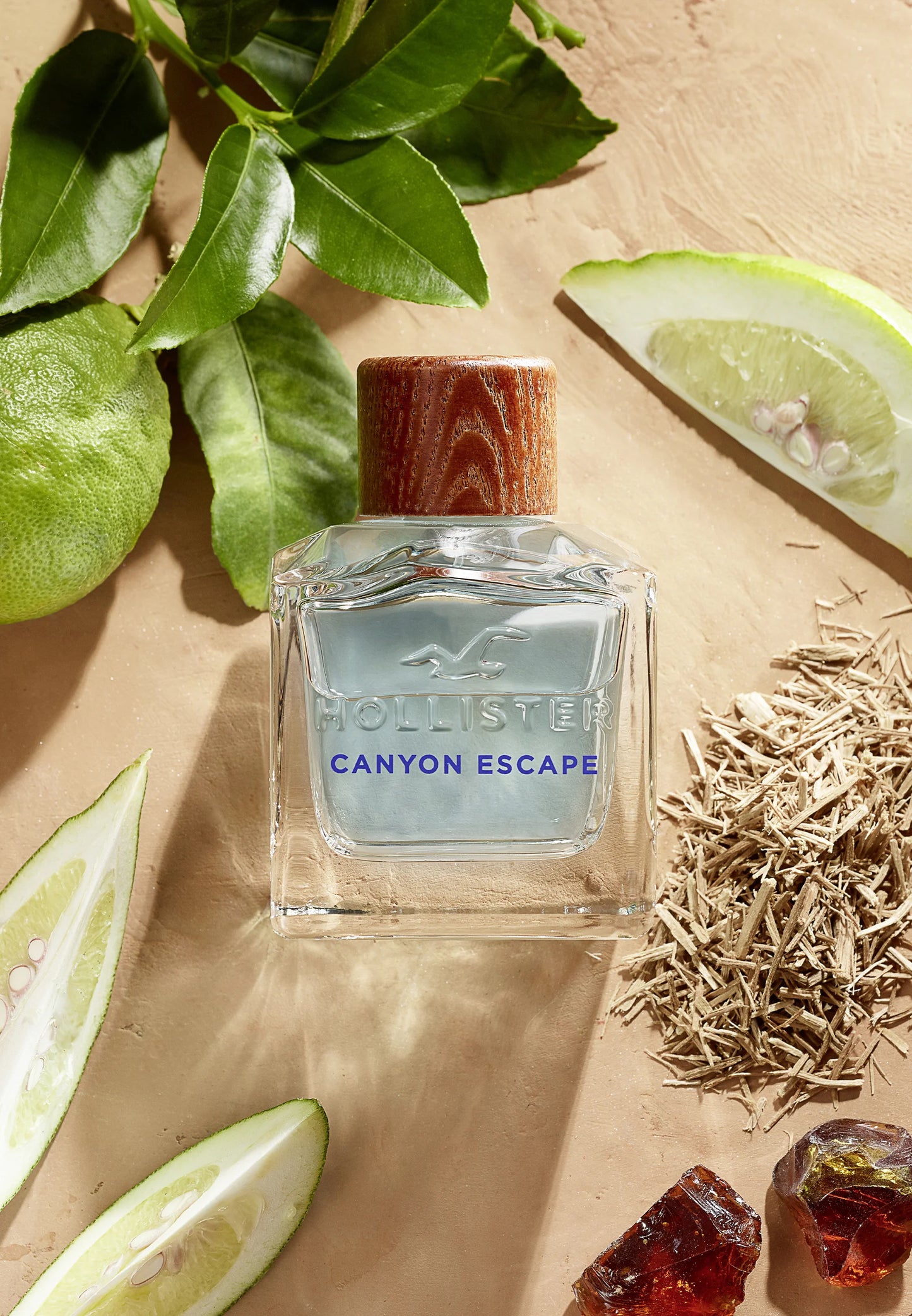 Hollister Canyon Escape EDT Pentru el 100 ml