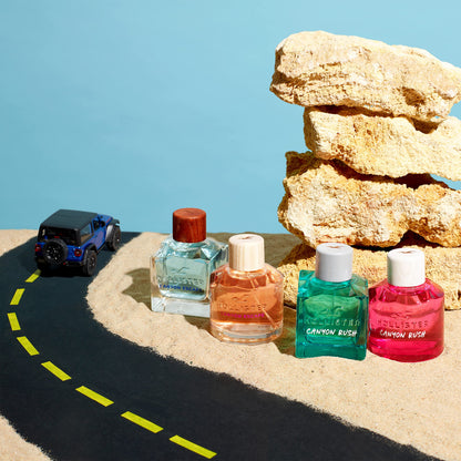 Hollister Canyon Escape EDT Pentru el 100 ml